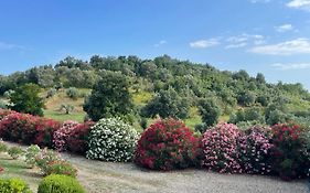 Tenuta Montemassi Podere Montauzzo